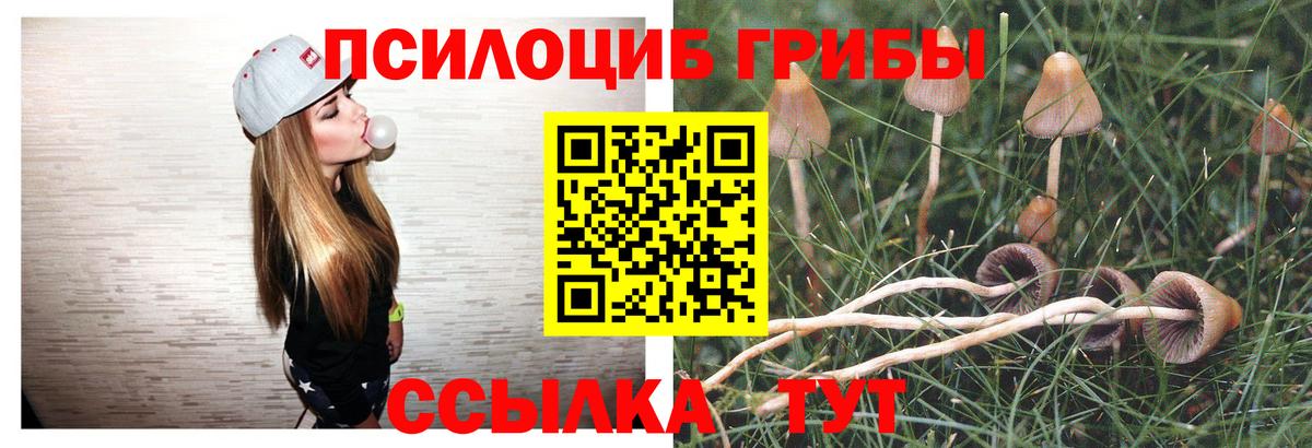 Псилоцибиновые грибы мицелий  Вход с VPN  Чебаркуль 